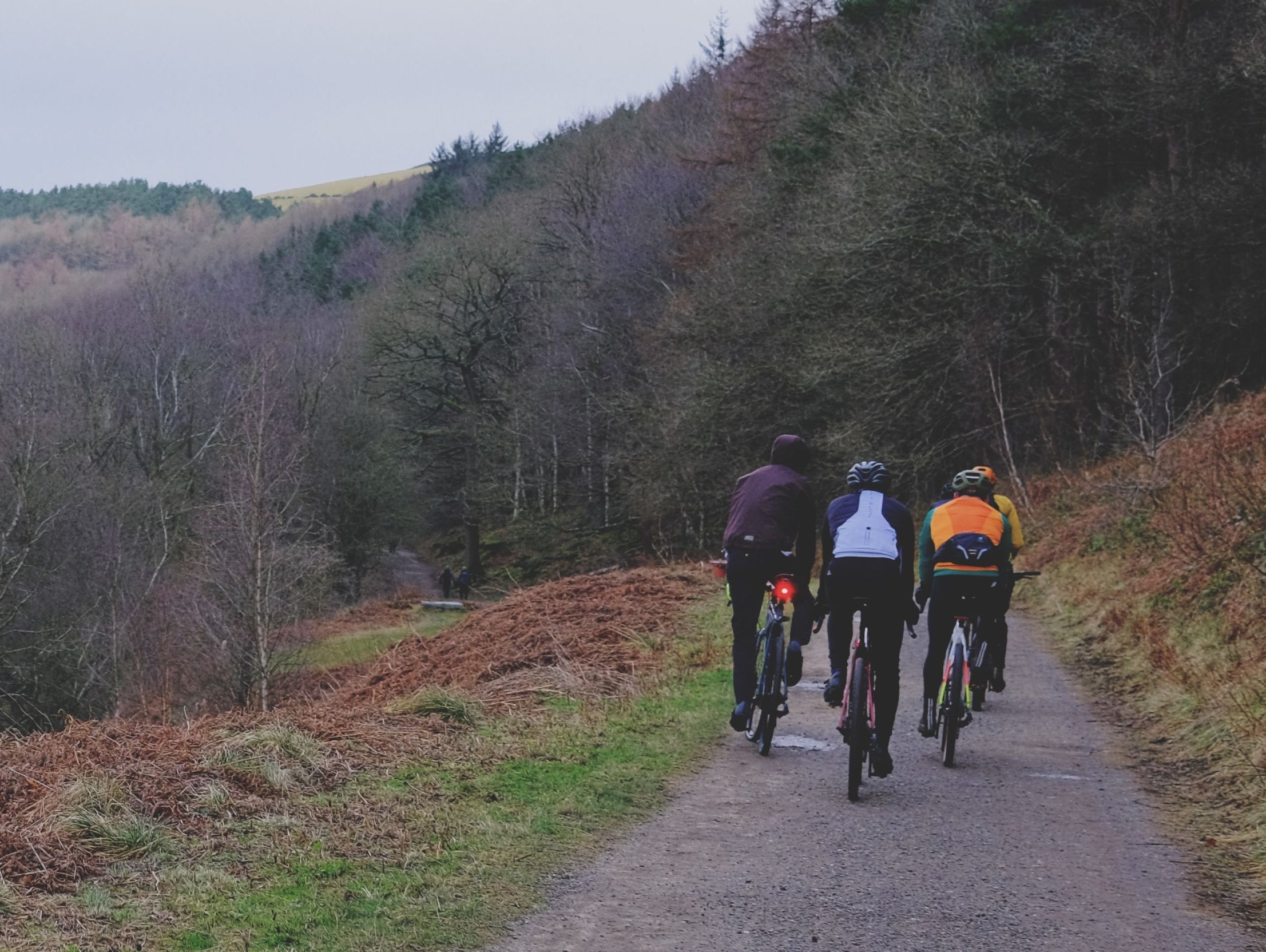 January 2025 - Trail of the Month