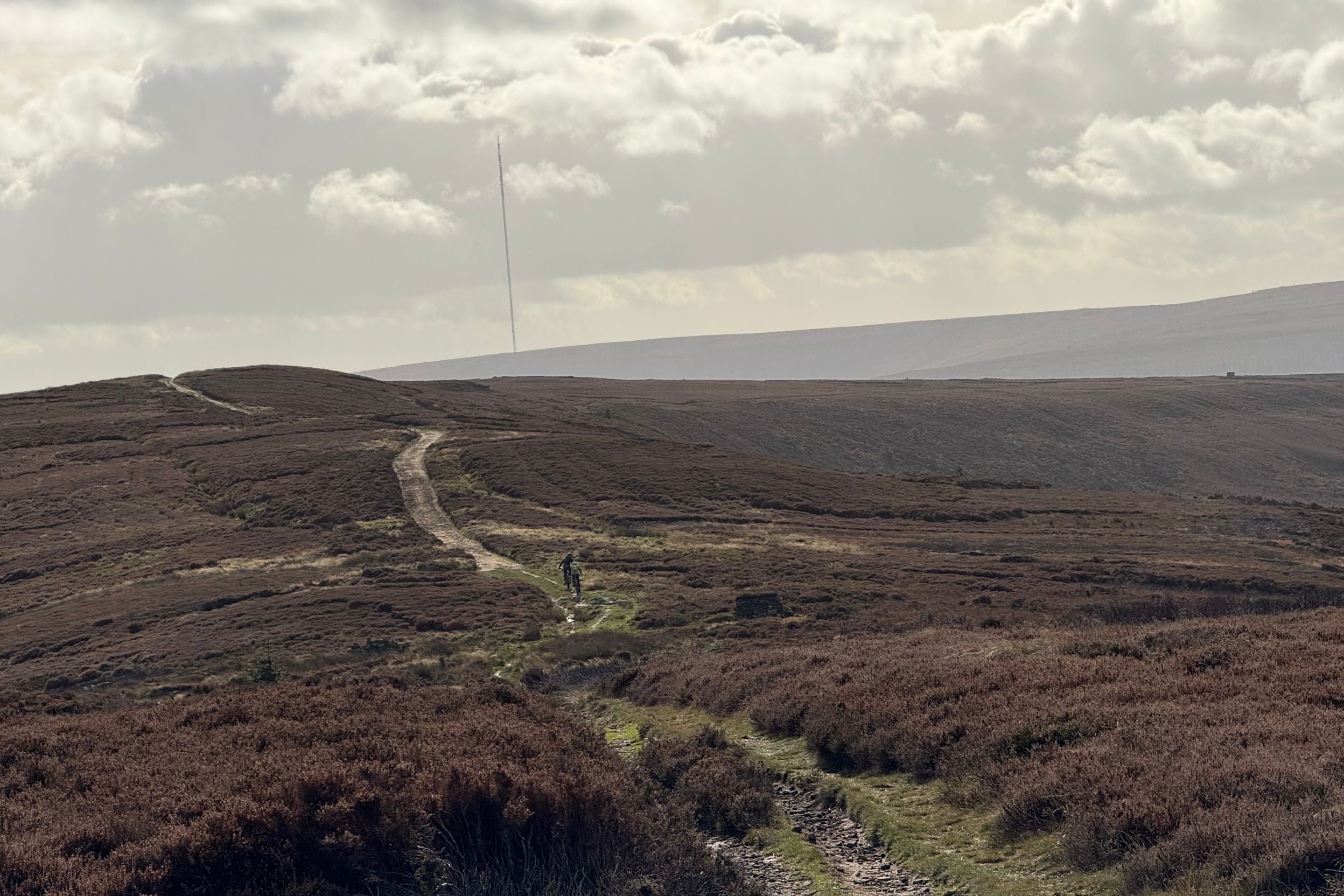 November 2025 - Trail of the Month