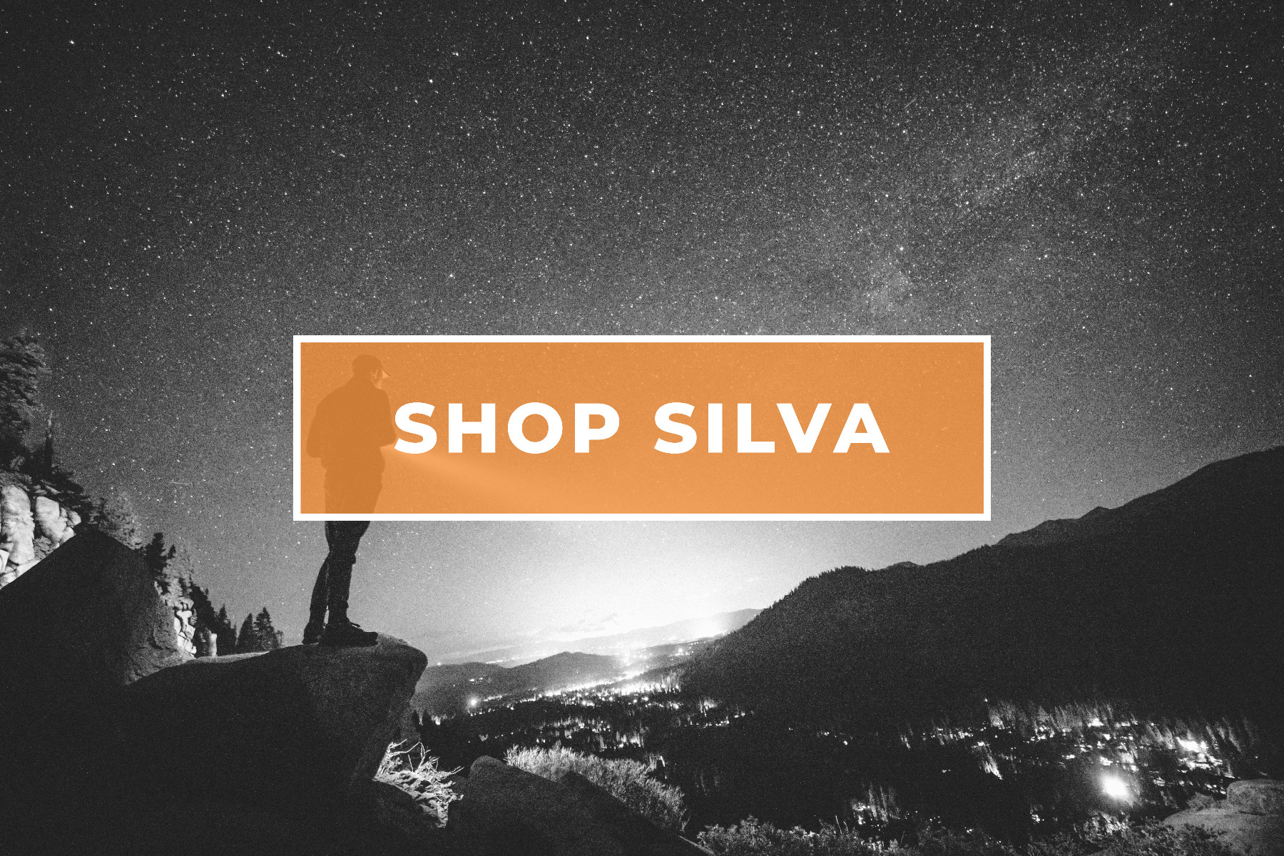 SILVA Brand Image